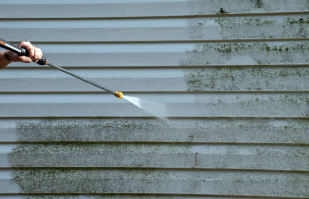 Best House Exterior Washing  in Kapaa, HI